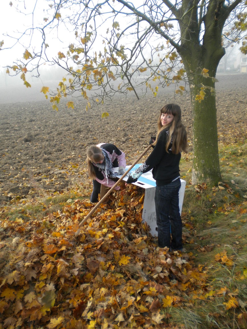 dscn6186