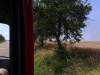 imag0002