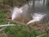 WP_20140404_17_50_27_Pro